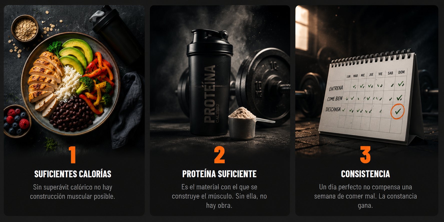 Los 3 pilares para ganar masa muscular: calorías, proteína y consistencia